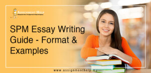 example essay spm section b