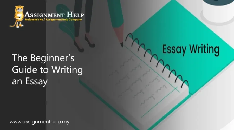 Essay