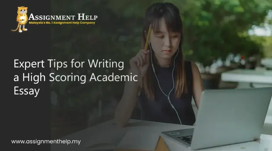 Essays