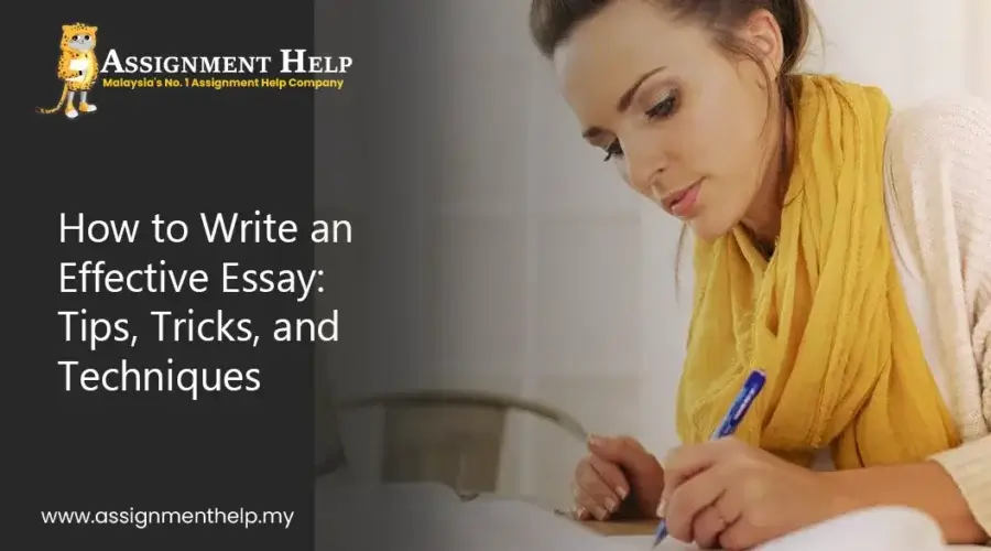 Essay